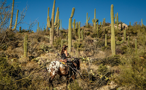 eGift card image of the Tanque Verde Ranch