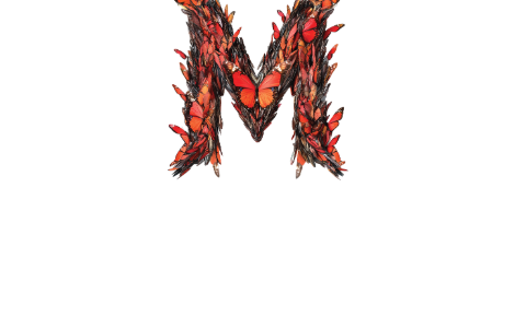 Merchant Logo