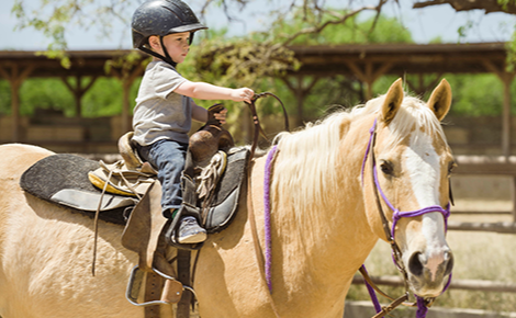 eGift card image of a child horse riding 