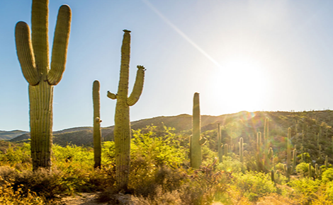 eGift card image of the ranch