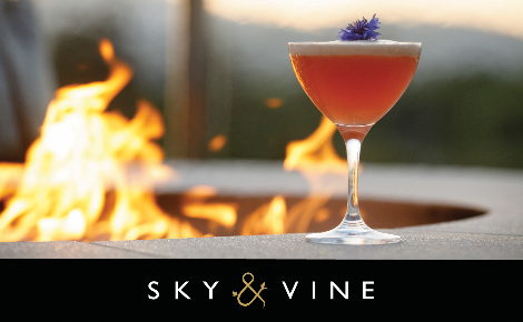 A pink Sky & Vine cocktail sitting on the stone edge of a fire pit.