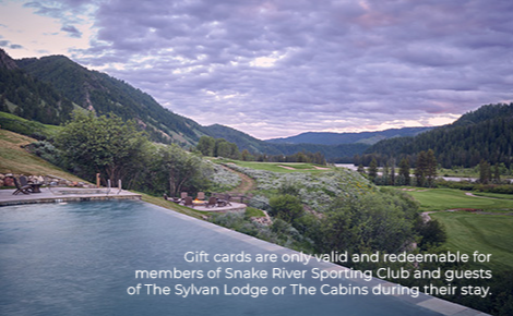 egift card design with infinity pool