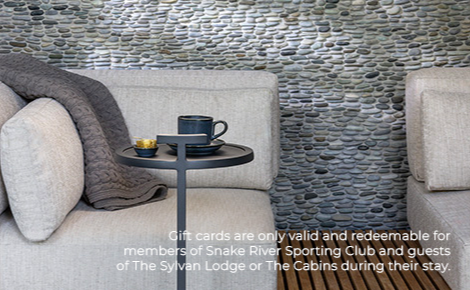 egift card design with the sofa and tea cup