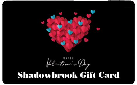 Valentines Day Gift card with black background and blue and red hearts in the center