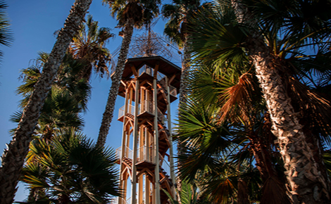 eGift card image of the observation tower