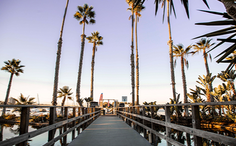 eGift card image of the jetty at the marina