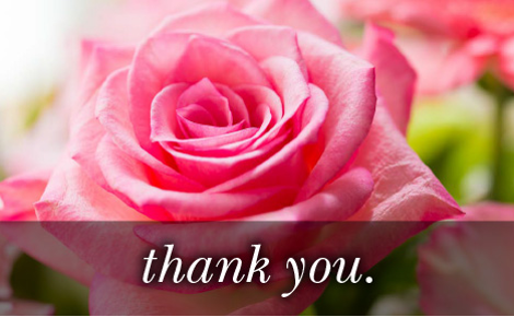 eGift card image of pink rose with the text 