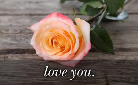 Image of peach rose with the text 