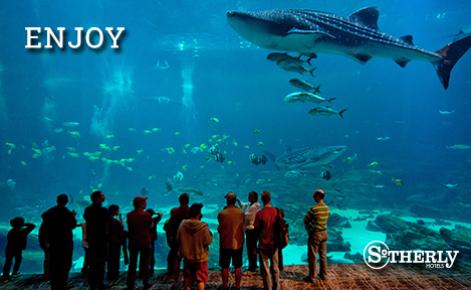 eGift Card image of visitors looking at a whale shark at Atlanta Georgia Aquarium with the text “Enjoy” and the Sotherly Hotels logo 