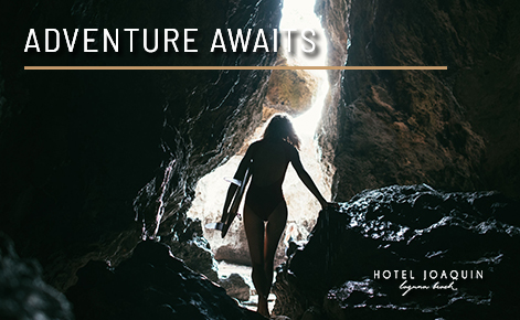 Image of female surfer with the text 
