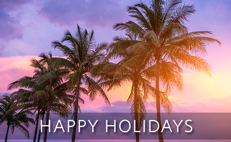 Image of palm trees at sunset with the text 