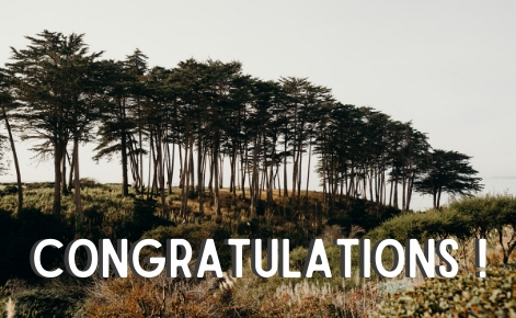 Gift card image of the trees lining the beach with the text  “Congratulations!”