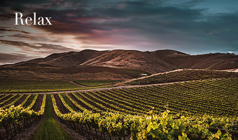 Gift card image of the view across the vineyards with the text “Relax”