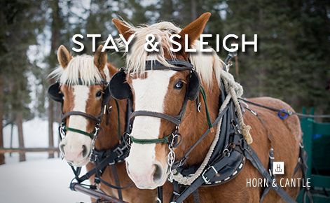 Image of horses with the text 