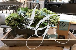 Image of plants with Lorisa Gardens logo overlaid