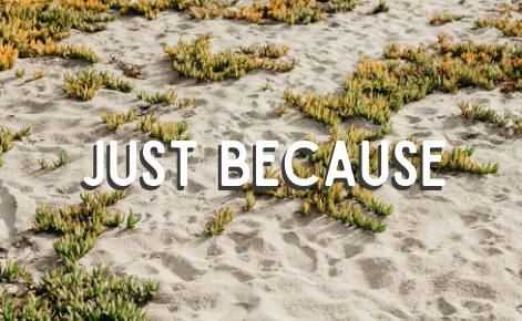 Gift card image of the sandy on the beach with the text “Just  Because”
