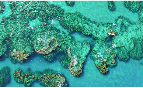 Azura Reefs