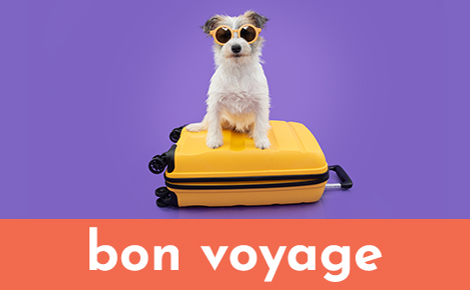 bon voyage and dog with suitcase