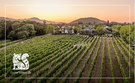 Estate Yountville vineyard