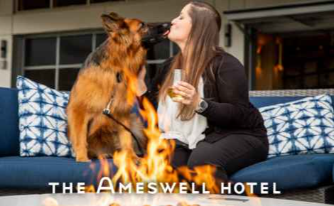 Image of a woman and a German Shepard
