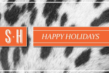 Image of a horse with the text 