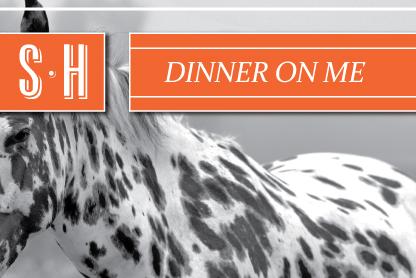 Image of a horse with the text 