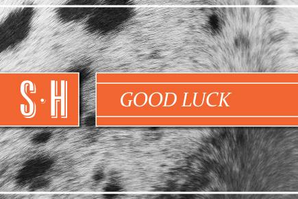 Image of a horse with the text 