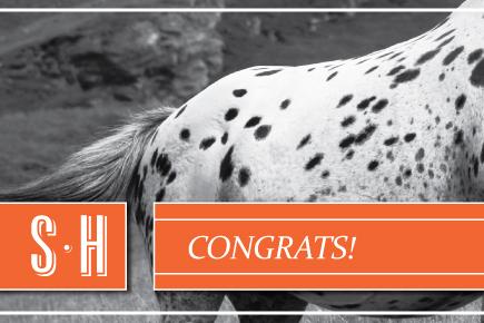 Image of a horse with the text 