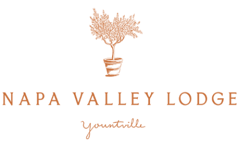 Merchant Logo