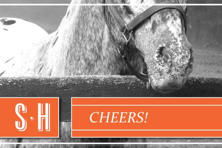 Image of a horse with the text 