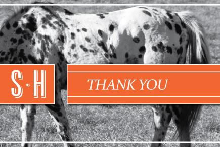 Image of a horse with the text 