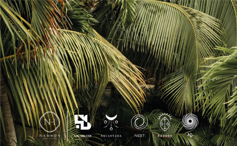 eGift card image of palm trees 