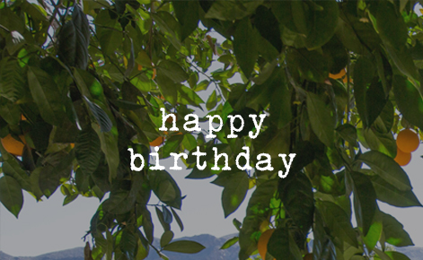 Gift card image of a close up of an orange tree with the text “Happy Birthday” 