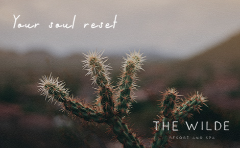 eGift card image of a cactus the text 