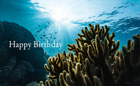 Gift Card image of underwater shot with the text “Happy Birthday”