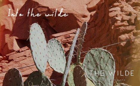 eGift card image of Sedona’s red rocks and cactus with the text 