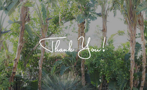 Gift card image of palm trees with the text “Thank You”