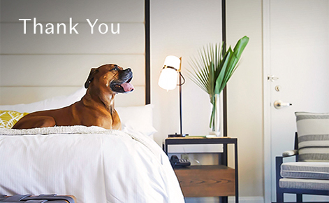 Gift card image of a dog on a hotel bed with the text “Thank You”