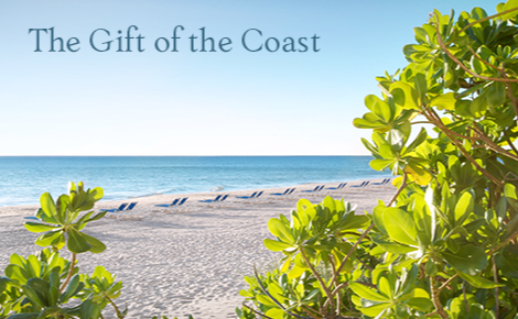eGift card image of the beach and the text 