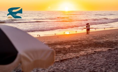 Gift Card showing a photo of the sunset with a beach umbrella in the foreground, with a Beach Terrace bird icon.