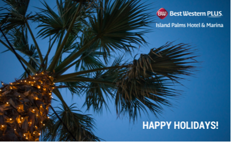 eGift card image a palm tree with lights and the text 