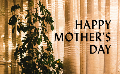 eGift card image with the text 